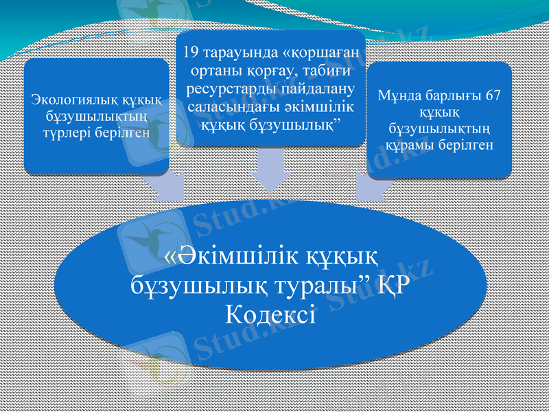 Slide 7