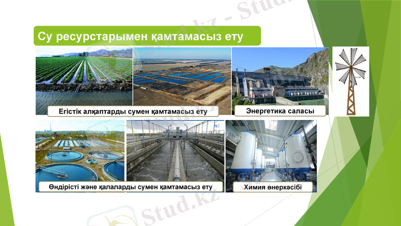 Slide 5