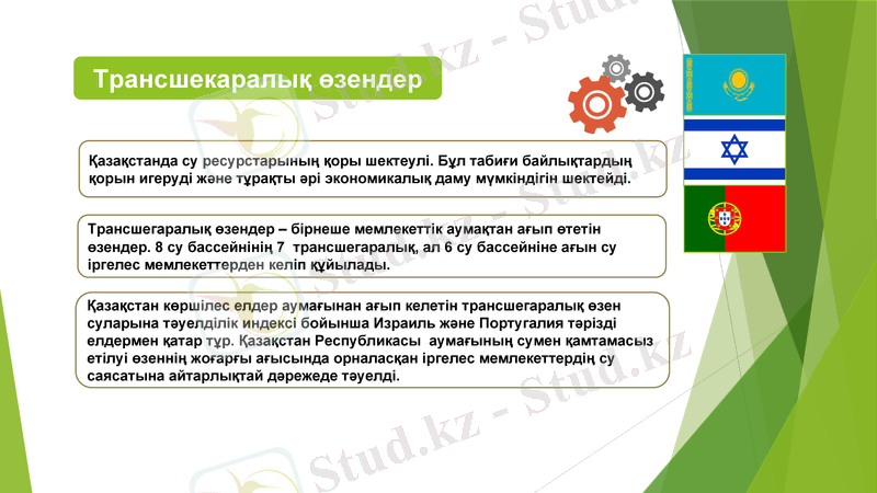 Slide 8