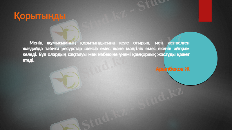 Slide 10
