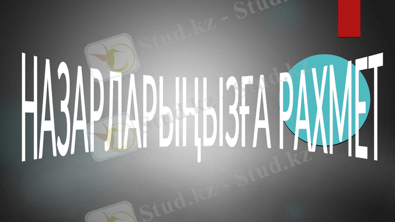 Slide 11