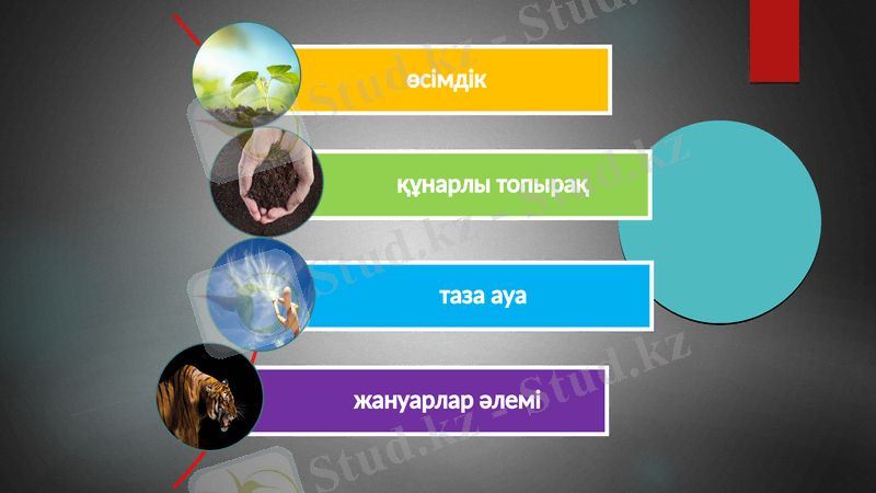 Slide 7