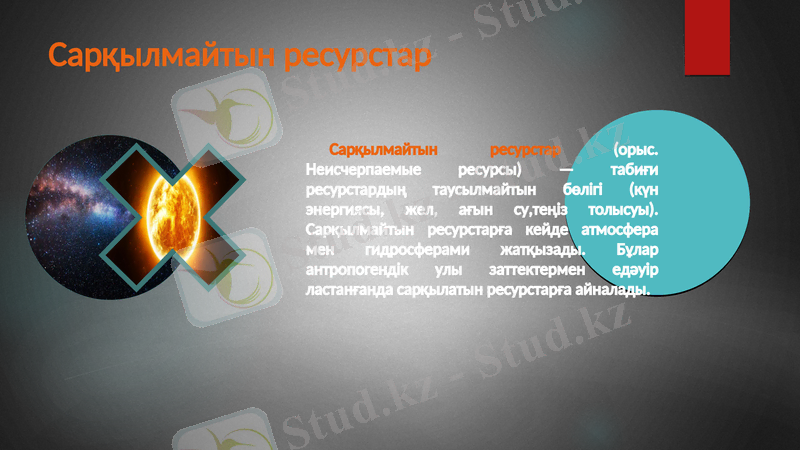Slide 8