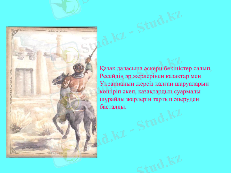 Slide 12
