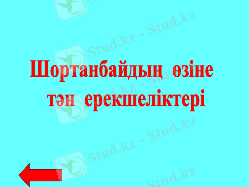 Slide 35