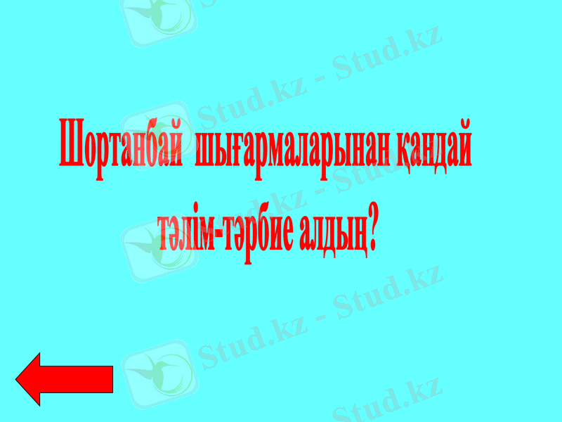 Slide 41
