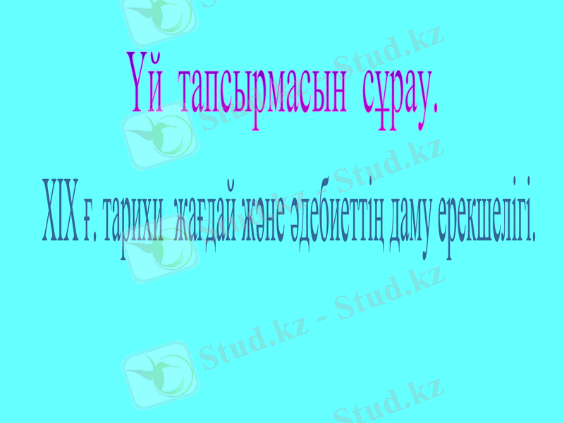 Slide 5