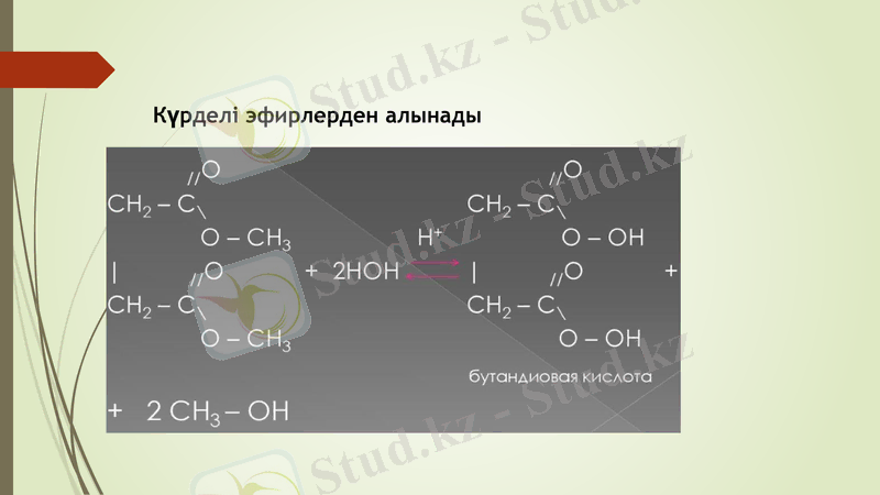Slide 13