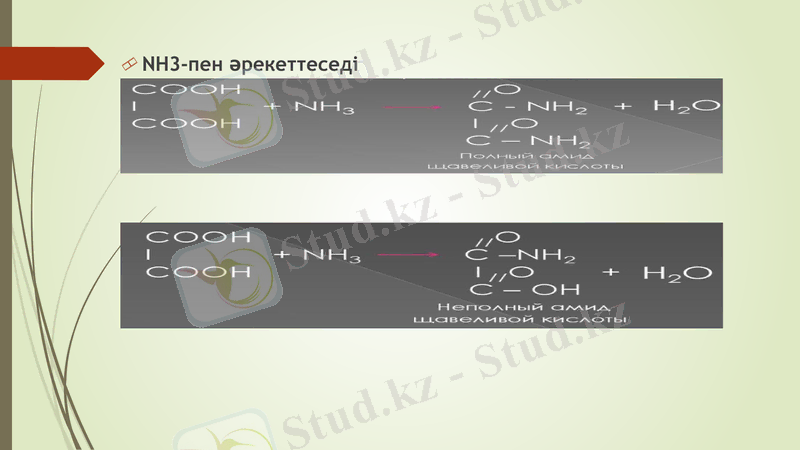 Slide 7