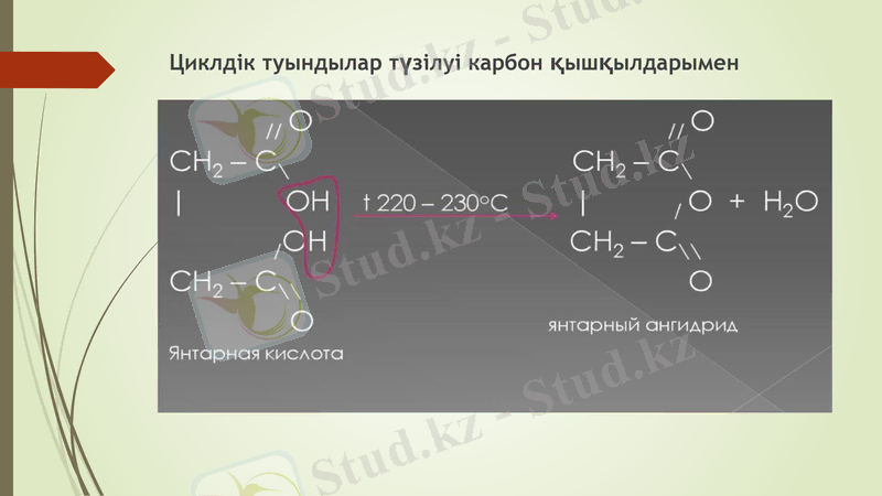 Slide 9
