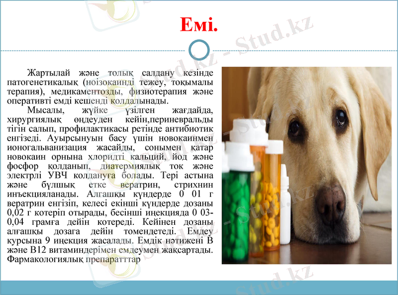 Slide 10