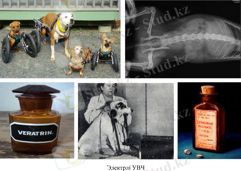 Slide 11