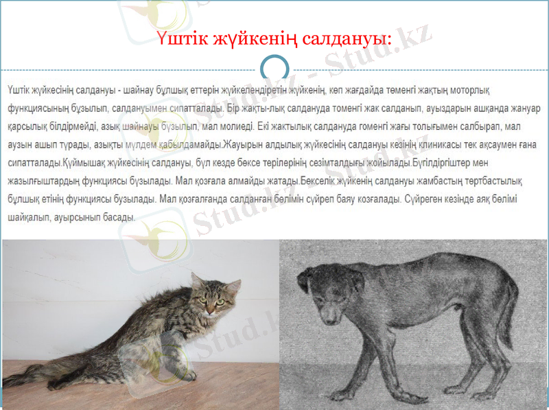 Slide 6