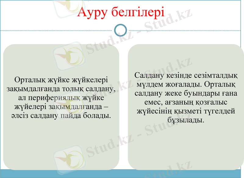 Slide 7