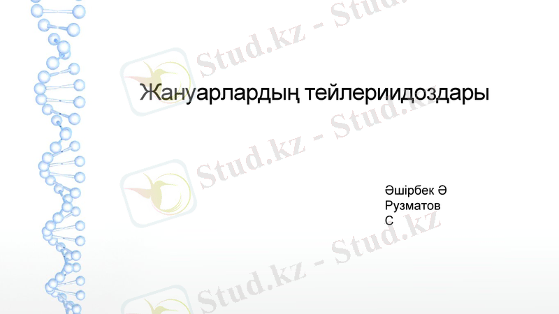 Slide 1