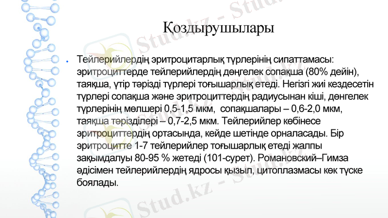 Slide 10