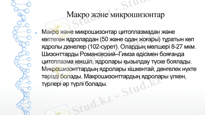 Slide 12