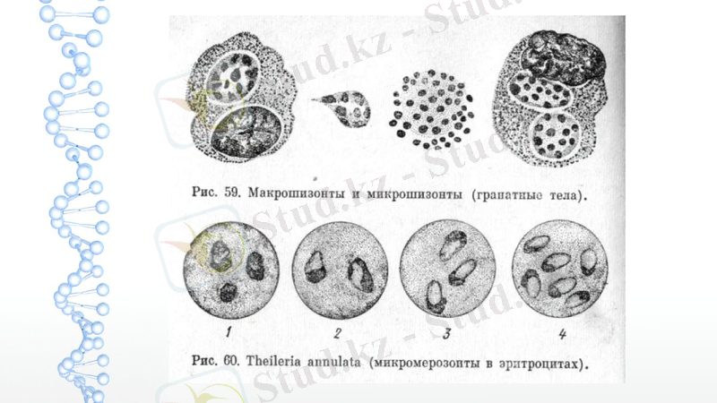 Slide 13