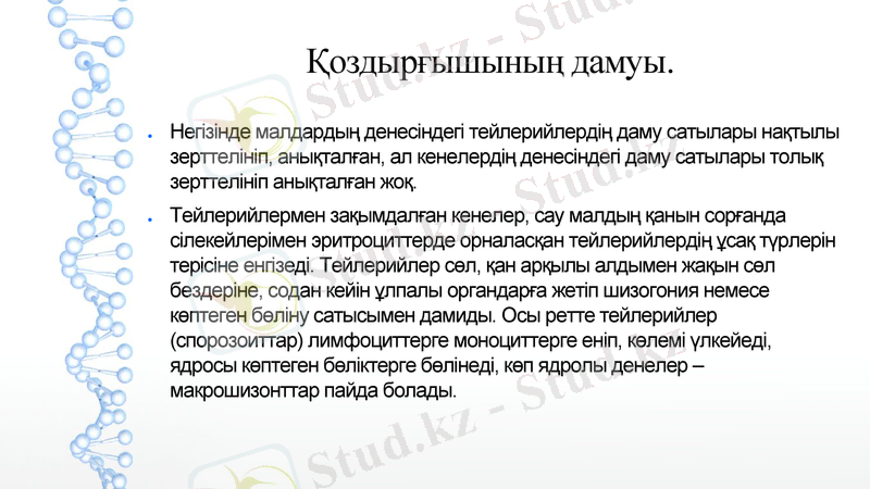 Slide 14