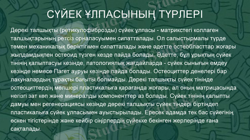 Slide 11