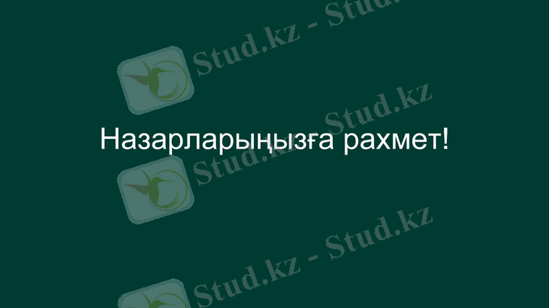 Slide 13