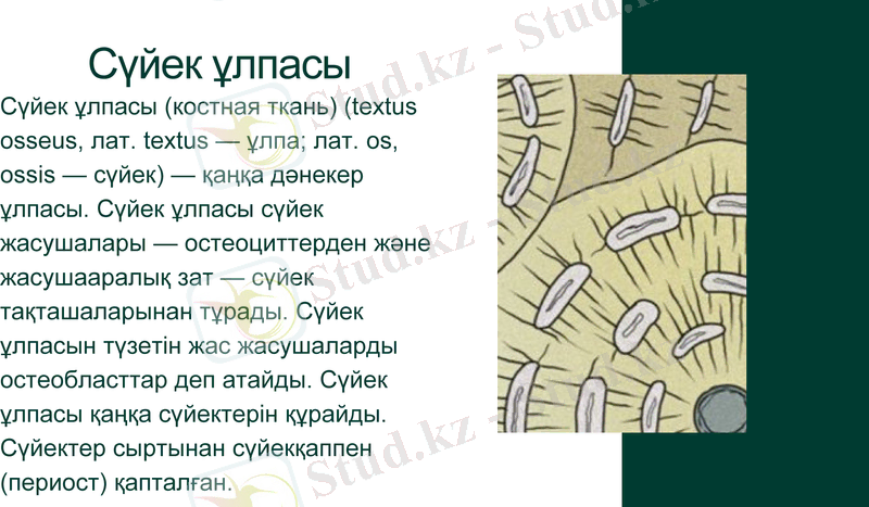 Slide 9