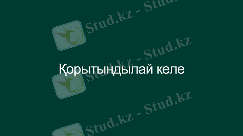 Slide 13