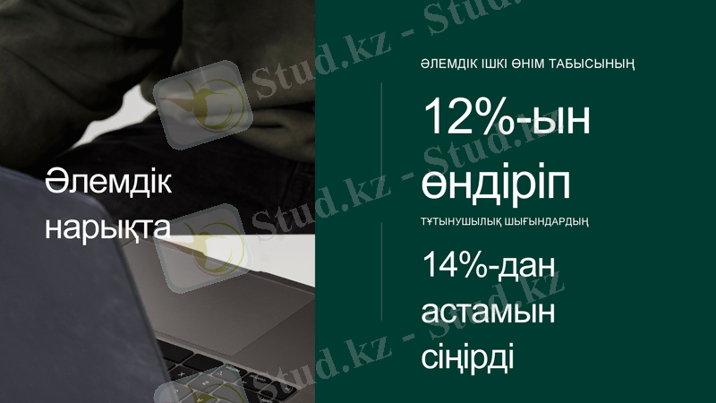 Slide 5