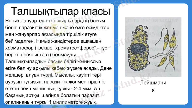 Slide 10