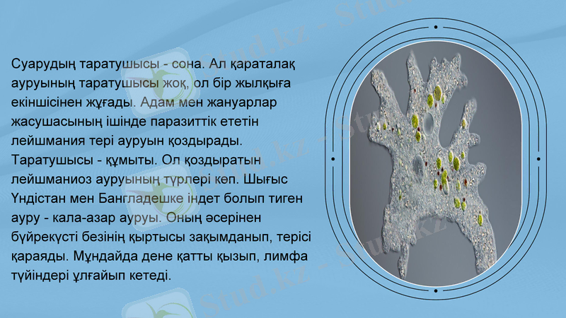 Slide 12