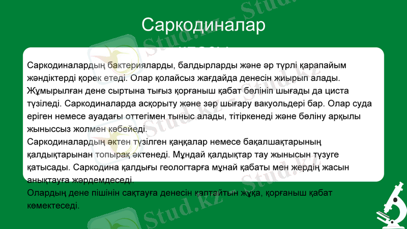 Slide 7
