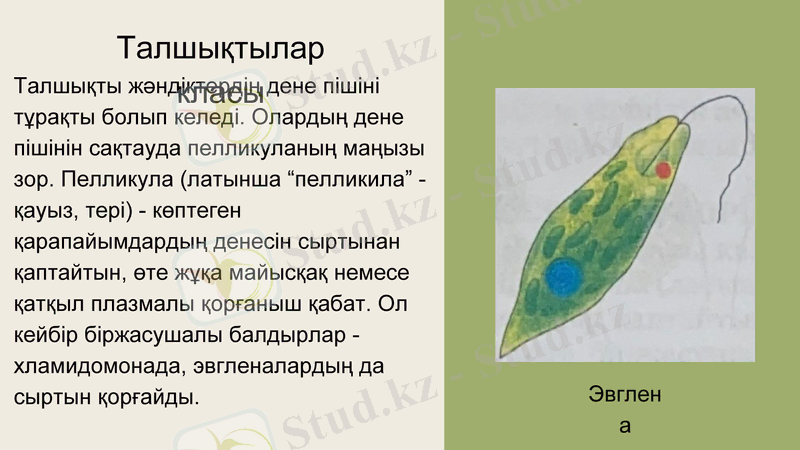 Slide 8