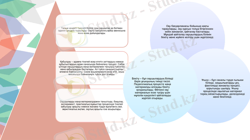 Slide 24