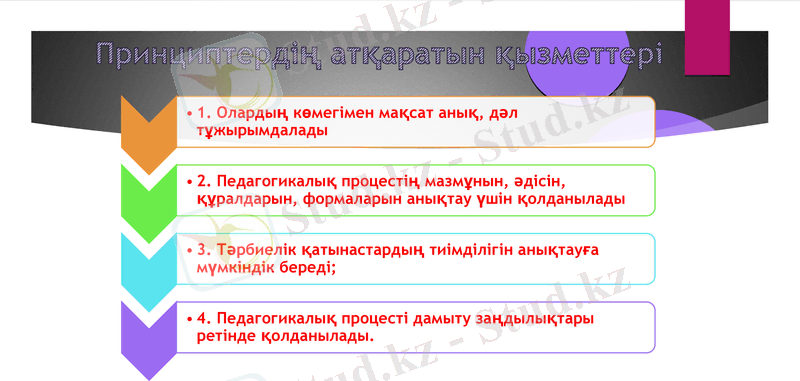 Slide 8
