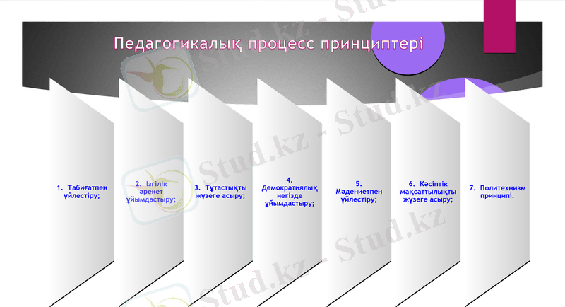 Slide 9