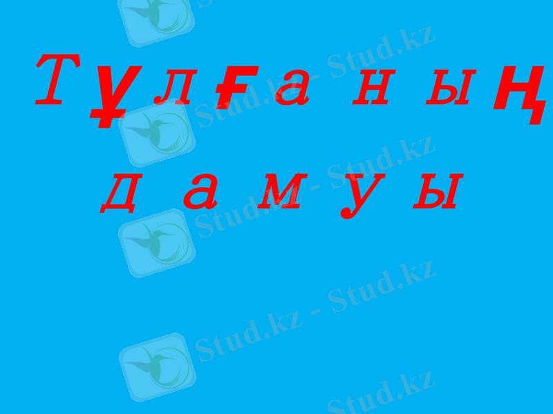Slide 1