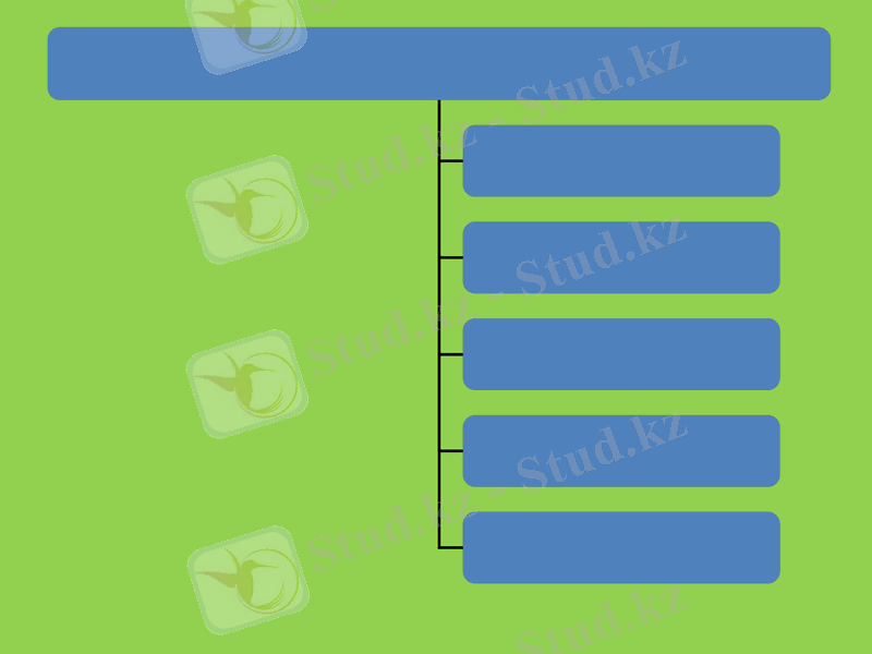 Slide 15