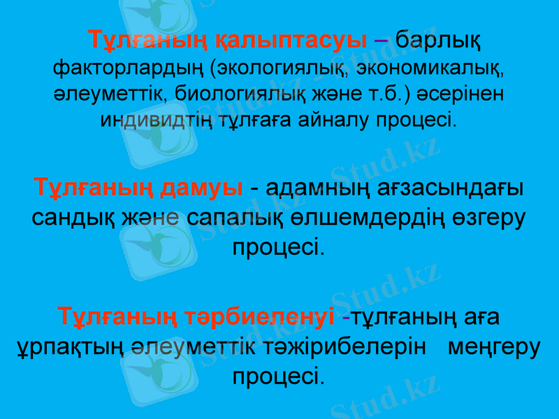 Slide 3