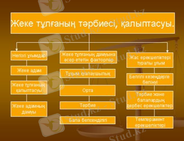 Slide 9