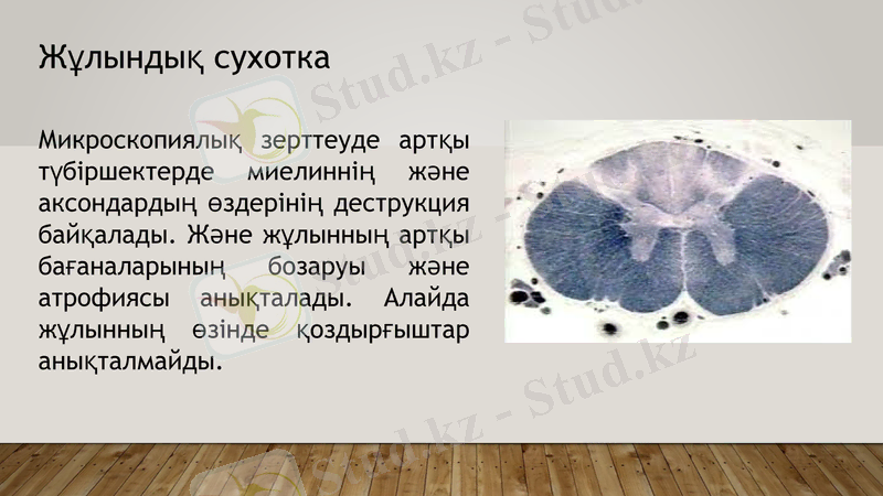 Slide 10