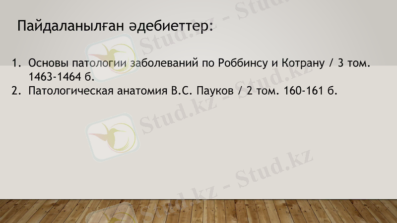 Slide 11