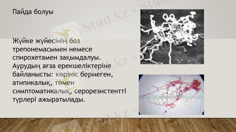 Slide 2