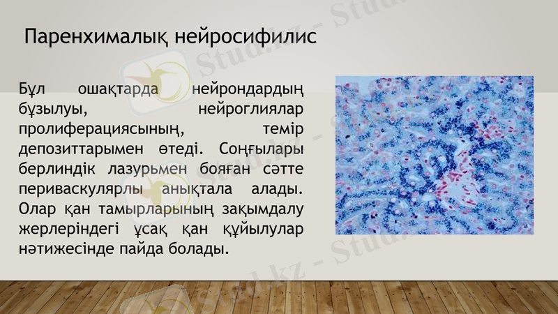 Slide 8