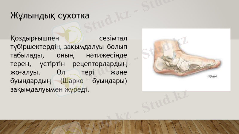 Slide 9
