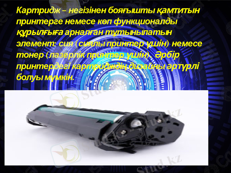Slide 11