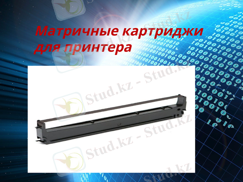 Slide 5