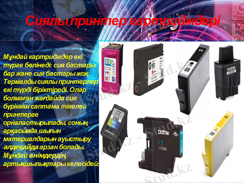 Slide 6