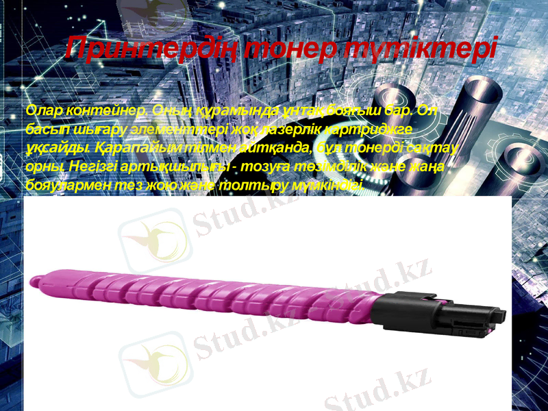 Slide 8