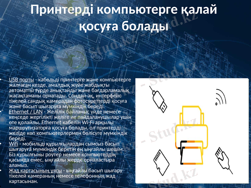 Slide 11