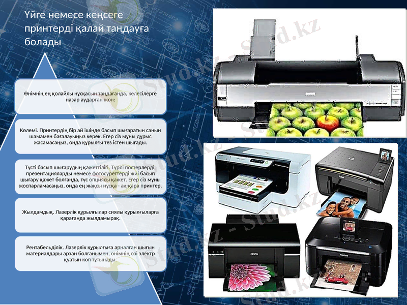 Slide 7